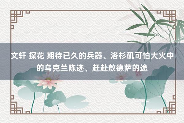 文轩 探花 期待已久的兵器、洛杉矶可怕大火中的乌克兰陈迹、赶赴敖德萨的途