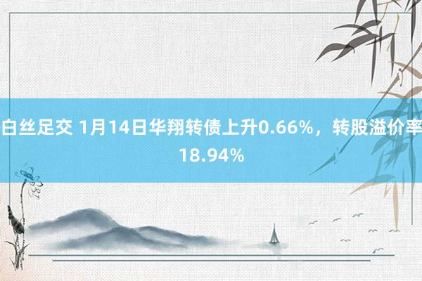 白丝足交 1月14日华翔转债上升0.66%，转股溢价率18.94%