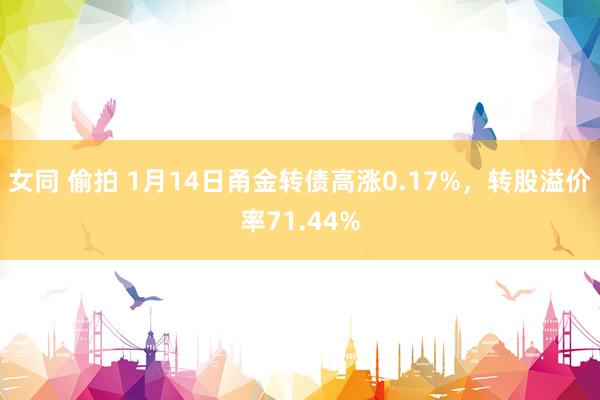 女同 偷拍 1月14日甬金转债高涨0.17%，转股溢价率71.44%