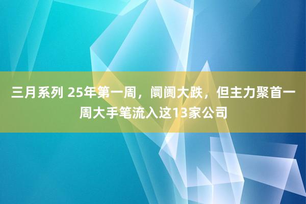 三月系列 25年第一周，阛阓大跌，但主力聚首一周大手笔流入这13家公司