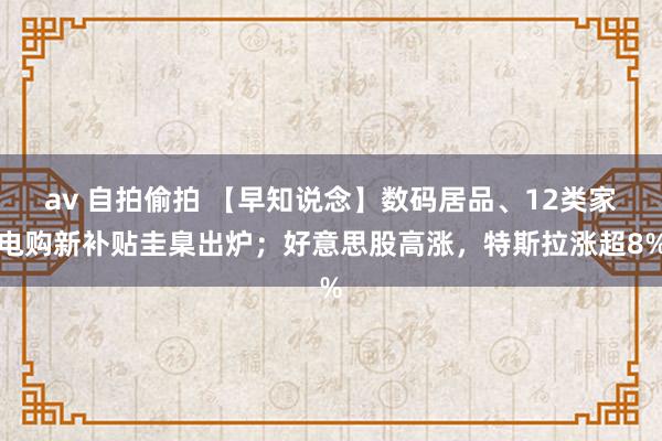 av 自拍偷拍 【早知说念】数码居品、12类家电购新补贴圭臬出炉；好意思股高涨，特斯拉涨超8%