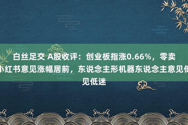 白丝足交 A股收评：创业板指涨0.66%，零卖、小红书意见涨幅居前，东说念主形机器东说念主意见低迷