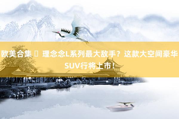 欧美合集 ​理念念L系列最大敌手？这款大空间豪华SUV行将上市！