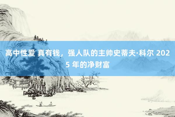 高中性爱 真有钱，强人队的主帅史蒂夫·科尔 2025 年的净财富