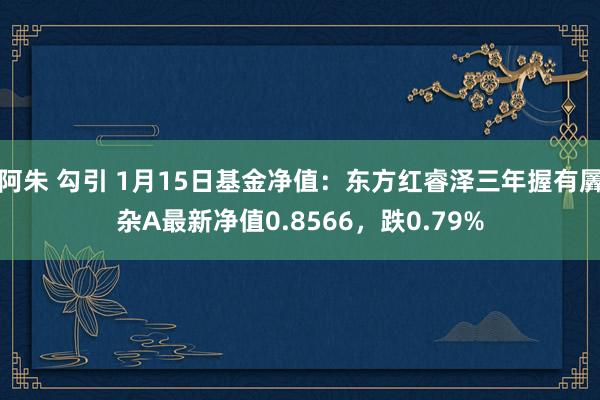 阿朱 勾引 1月15日基金净值：东方红睿泽三年握有羼杂A最新净值0.8566，跌0.79%