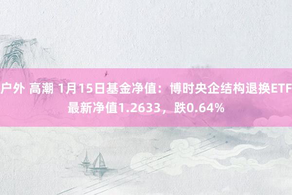 户外 高潮 1月15日基金净值：博时央企结构退换ETF最新净值1.2633，跌0.64%