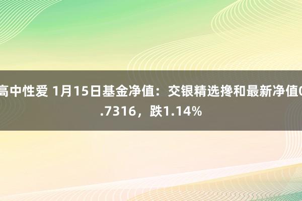 高中性爱 1月15日基金净值：交银精选搀和最新净值0.7316，跌1.14%