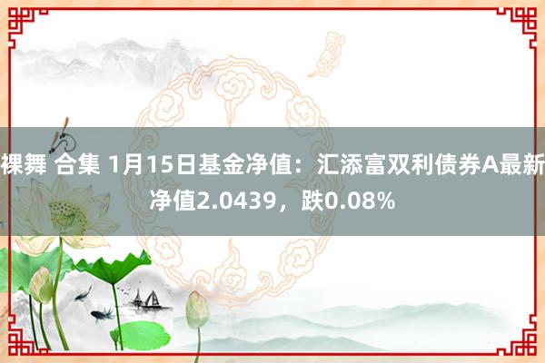 裸舞 合集 1月15日基金净值：汇添富双利债券A最新净值2.0439，跌0.08%