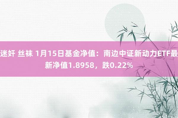 迷奸 丝袜 1月15日基金净值：南边中证新动力ETF最新净值1.8958，跌0.22%